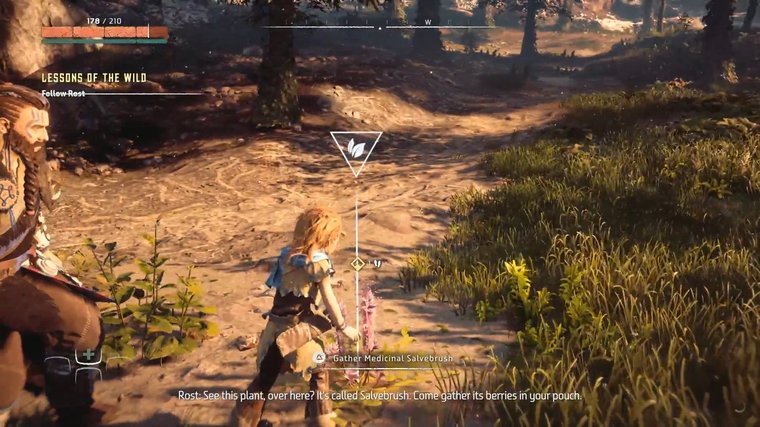 Horizon Zero Dawn